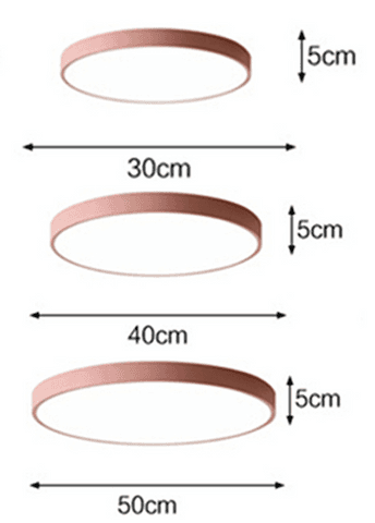 Nadia- LED Ceiling Light Modern Fixture Lamp Living Room