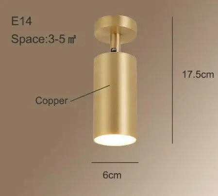 Modern Ceiling Lamp Foyer Copper Spotlight Living Room Led