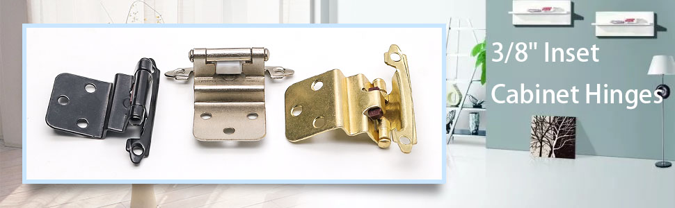 Black overlay self closing hinges